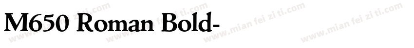 M650 Roman Bold字体转换